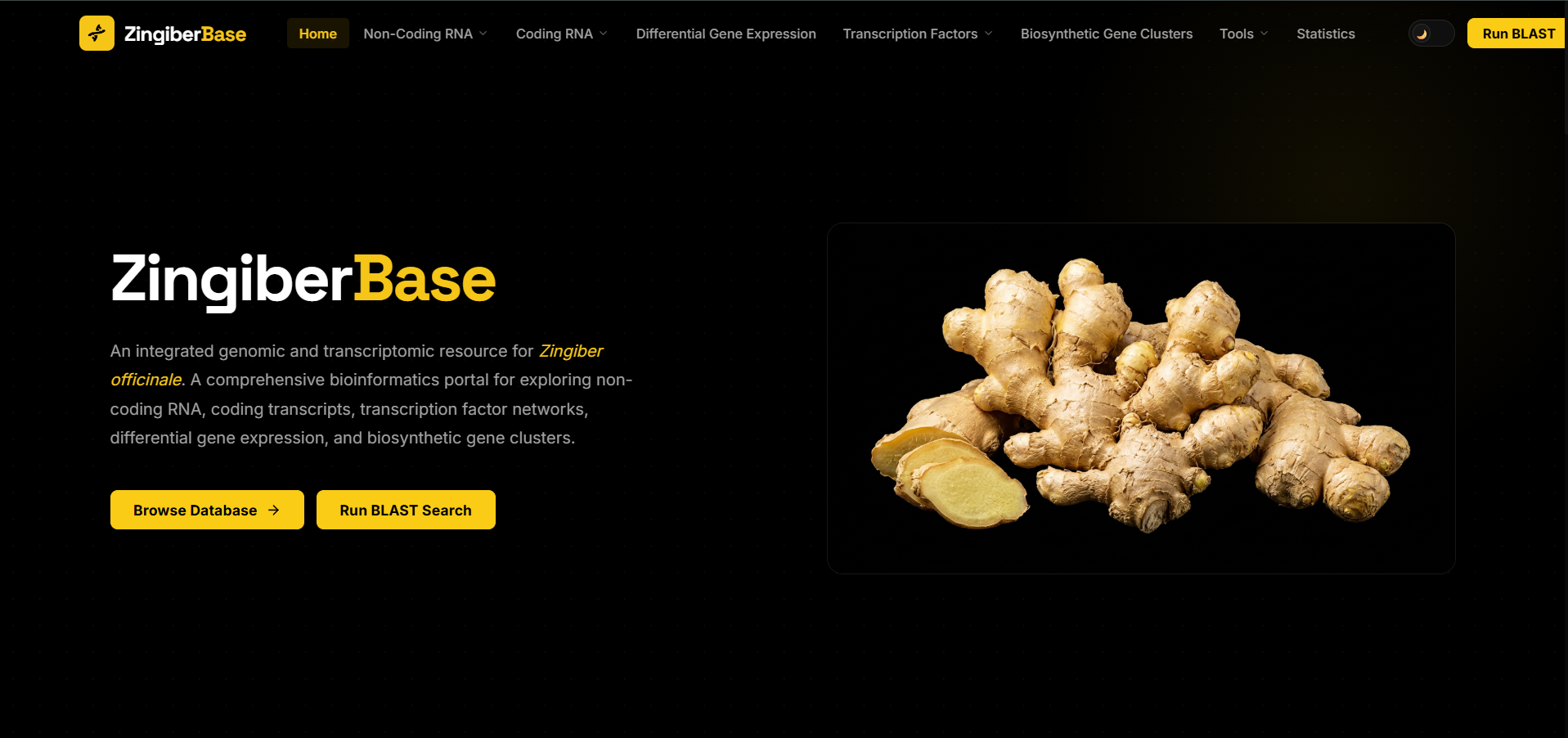 ZingiberBase Multi-Omics Genomic Database